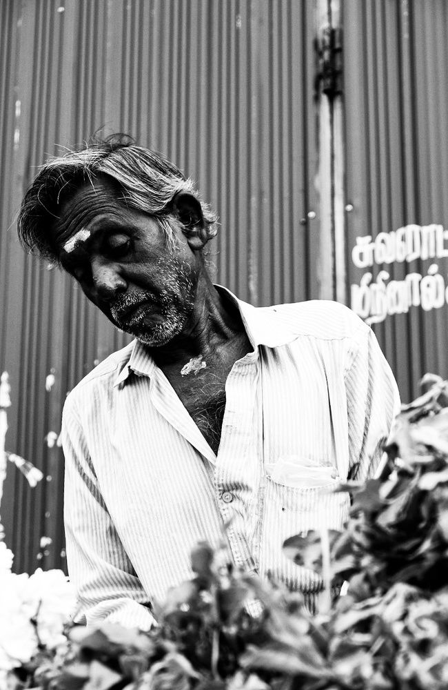 Photograph by Surendran Kalaivani