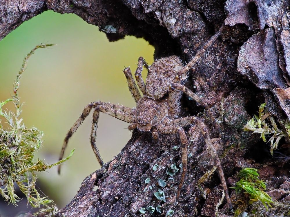 Photograph by Максим Кошелев