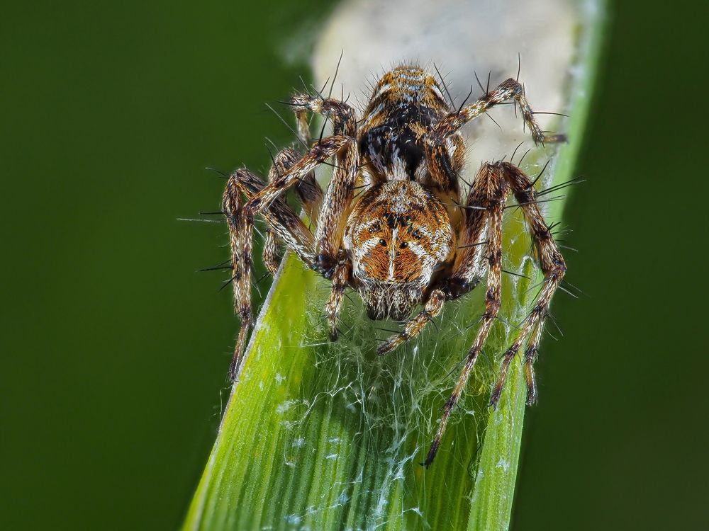 Photograph by Максим Кошелев