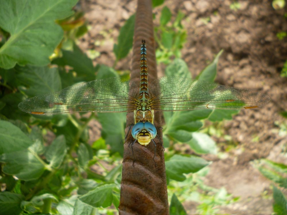 Будь счастлив в этот миг