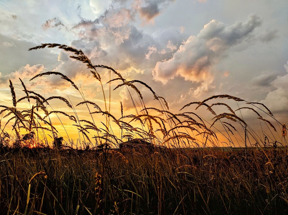 Photograph by Геннадий Глазнев