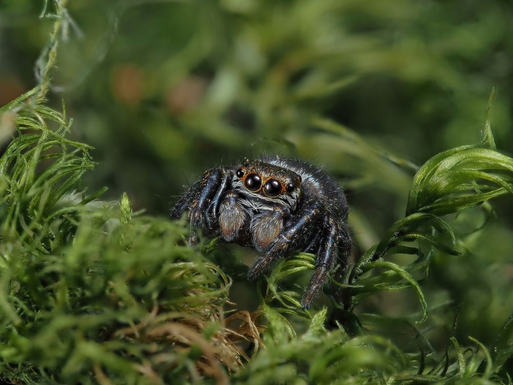 Photograph by Максим Кошелев