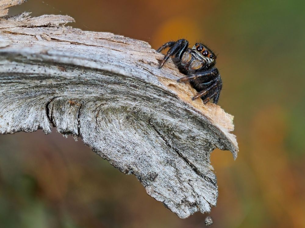 Photograph by Максим Кошелев