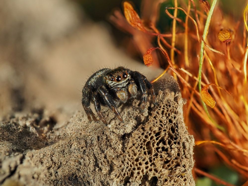 Photograph by Максим Кошелев