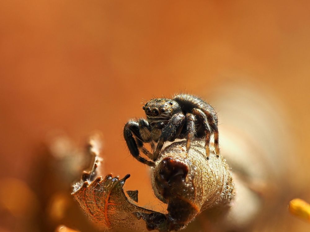 Photograph by Максим Кошелев