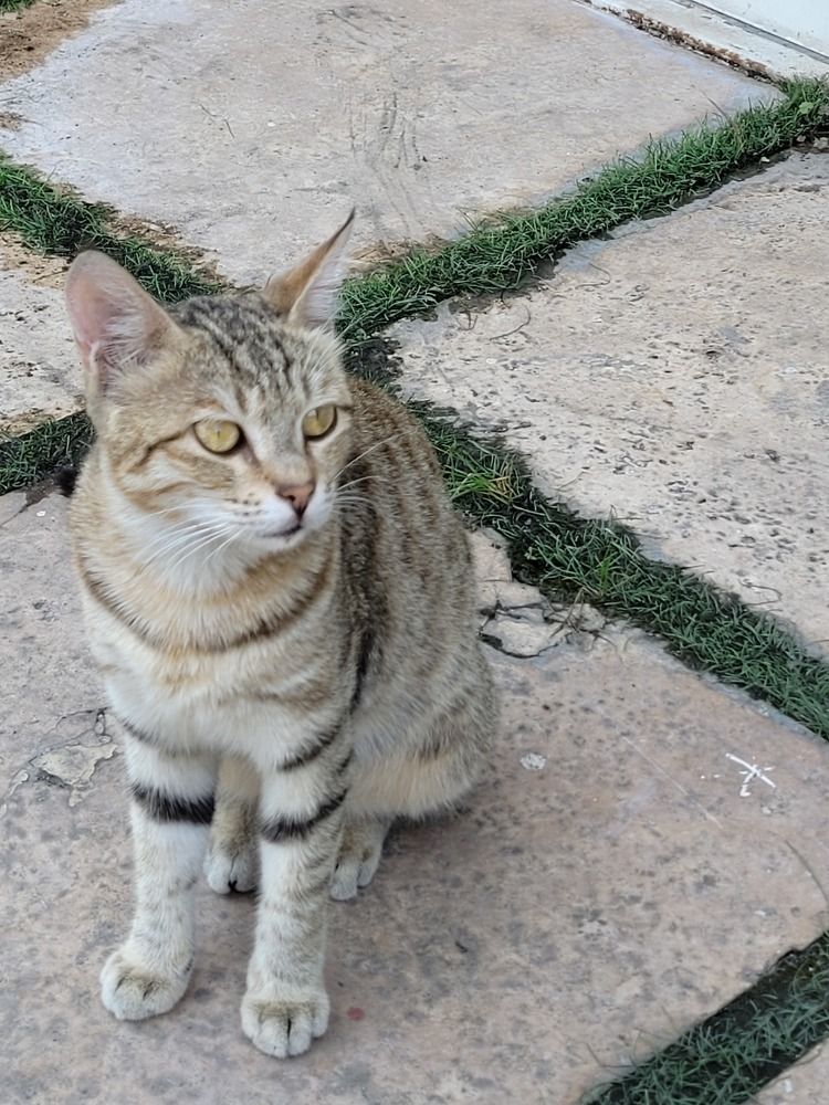 Photograph by Rahele Almassi