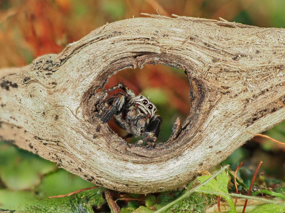 Photograph by Максим Кошелев