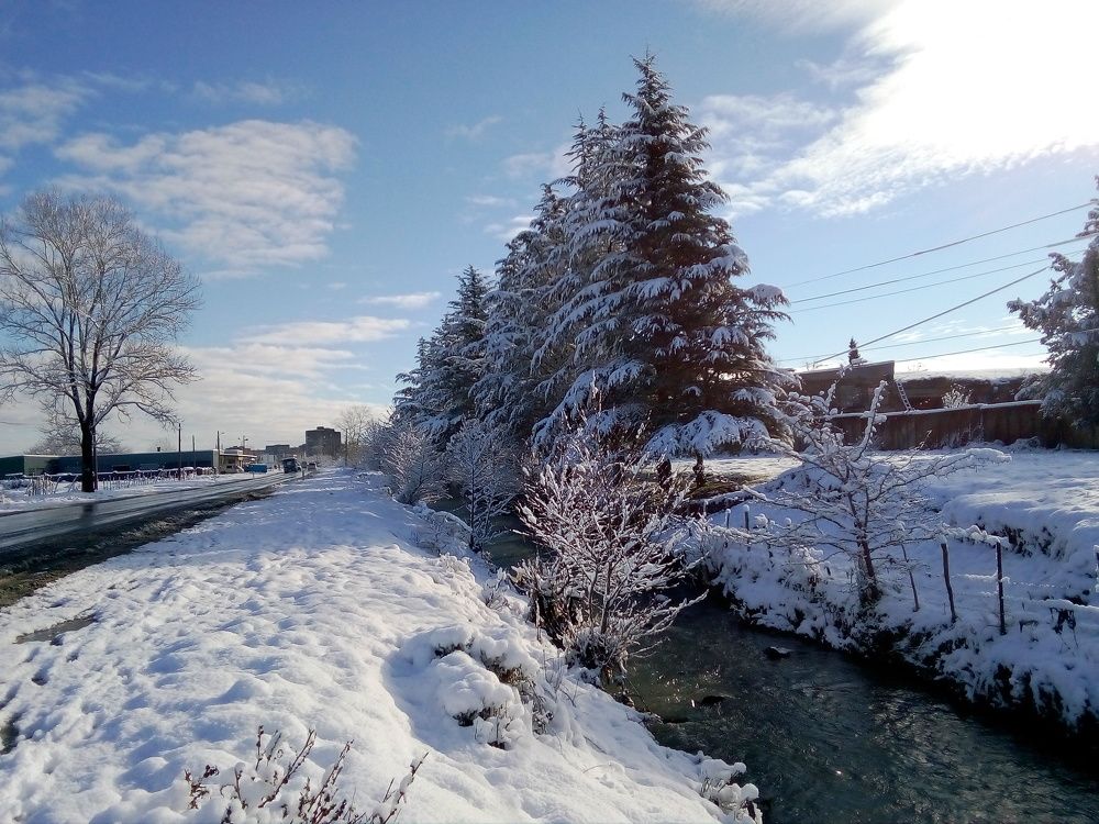 Photo #8873867