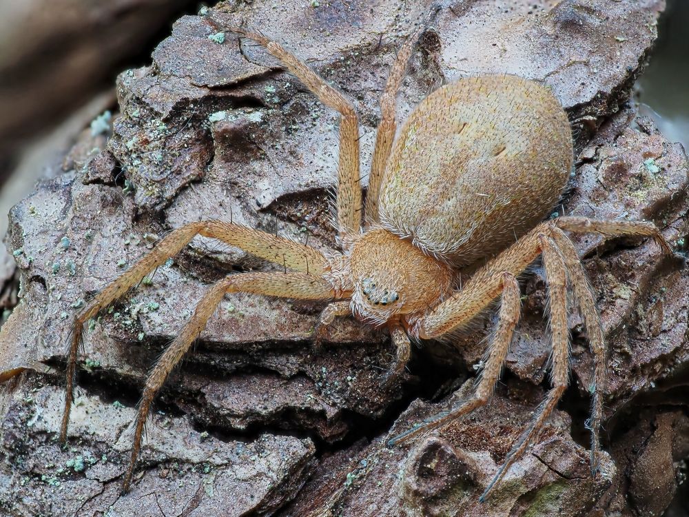 Photograph by Максим Кошелев