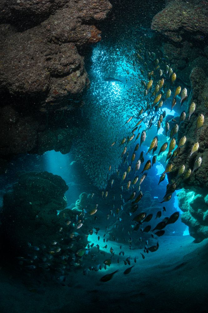 Photograph by Nadya Kulagina