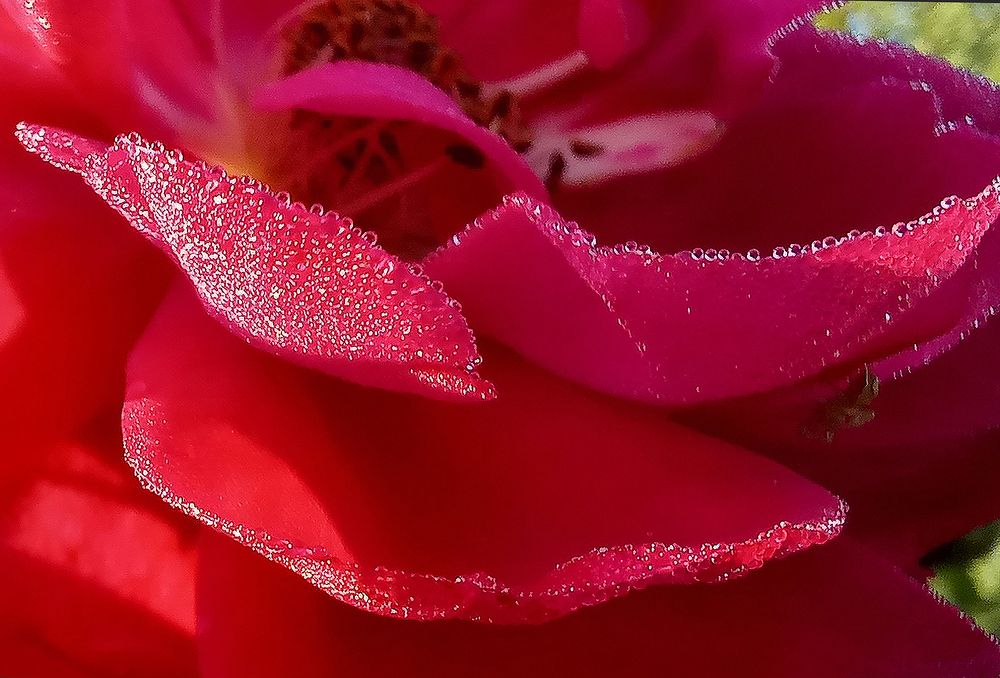 Photograph by Ирина Архипова