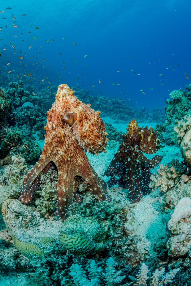 Photograph by Nadya Kulagina