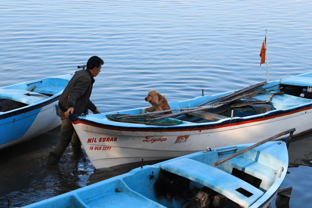 Photograph by Nurlan Tahirli