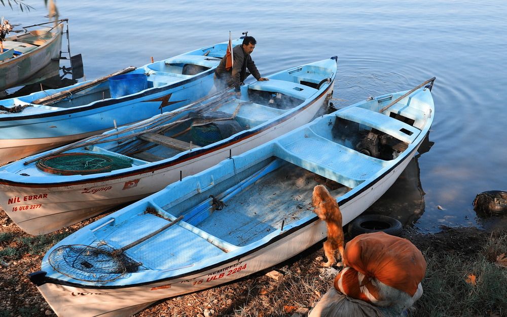 Photograph by Nurlan Tahirli