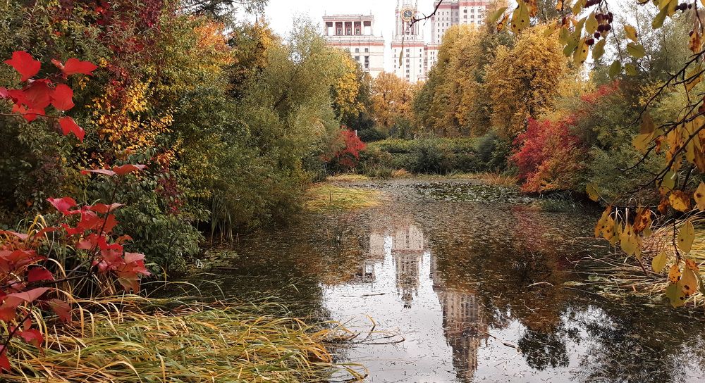 Фотография автора Konstantin