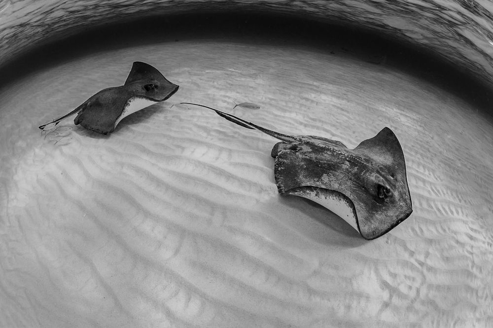 Photograph by Nadya Kulagina