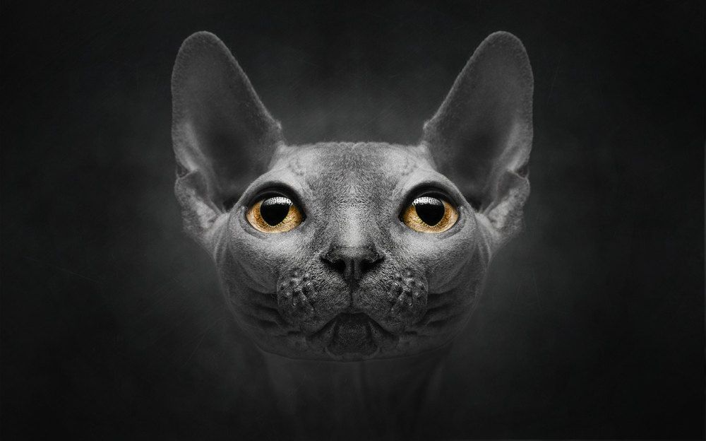 Photograph by Сергей Евневич