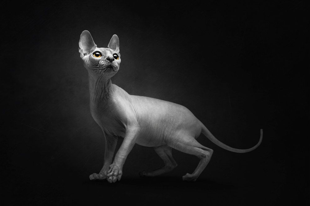 Photograph by Сергей Евневич