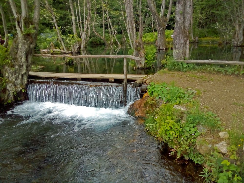 Photo #8874084