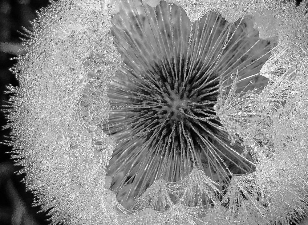 Photograph by Светлана Гринкевич