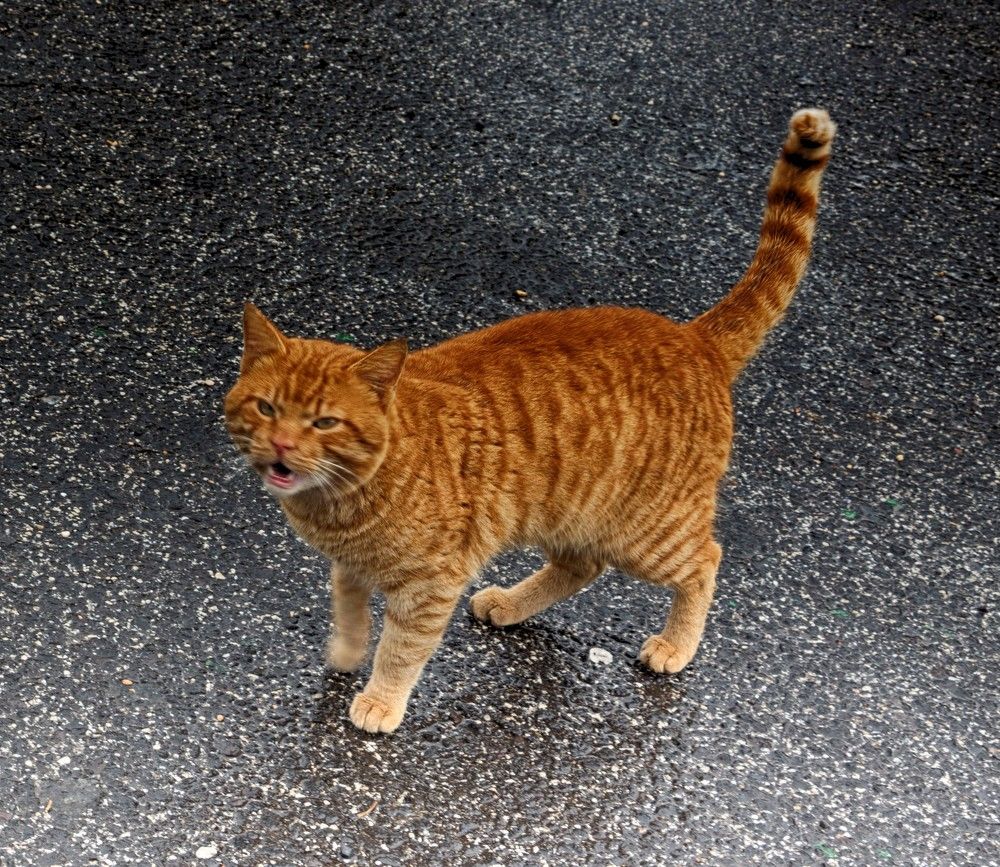 Photograph by Людмила Бутова