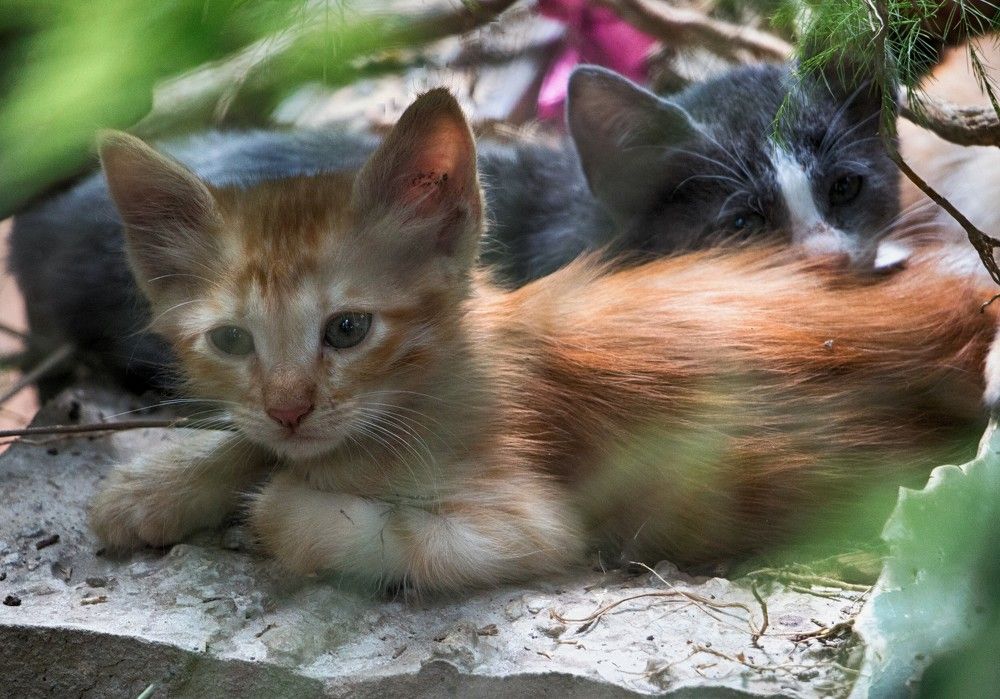 Photograph by Людмила Бутова