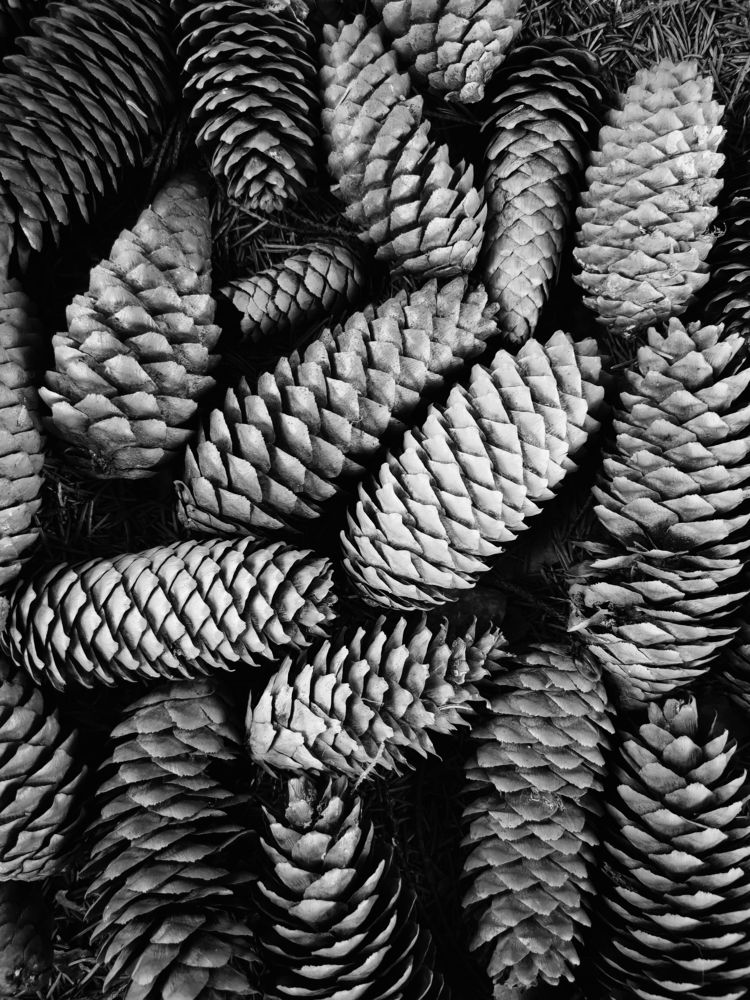 Photograph by Ольга