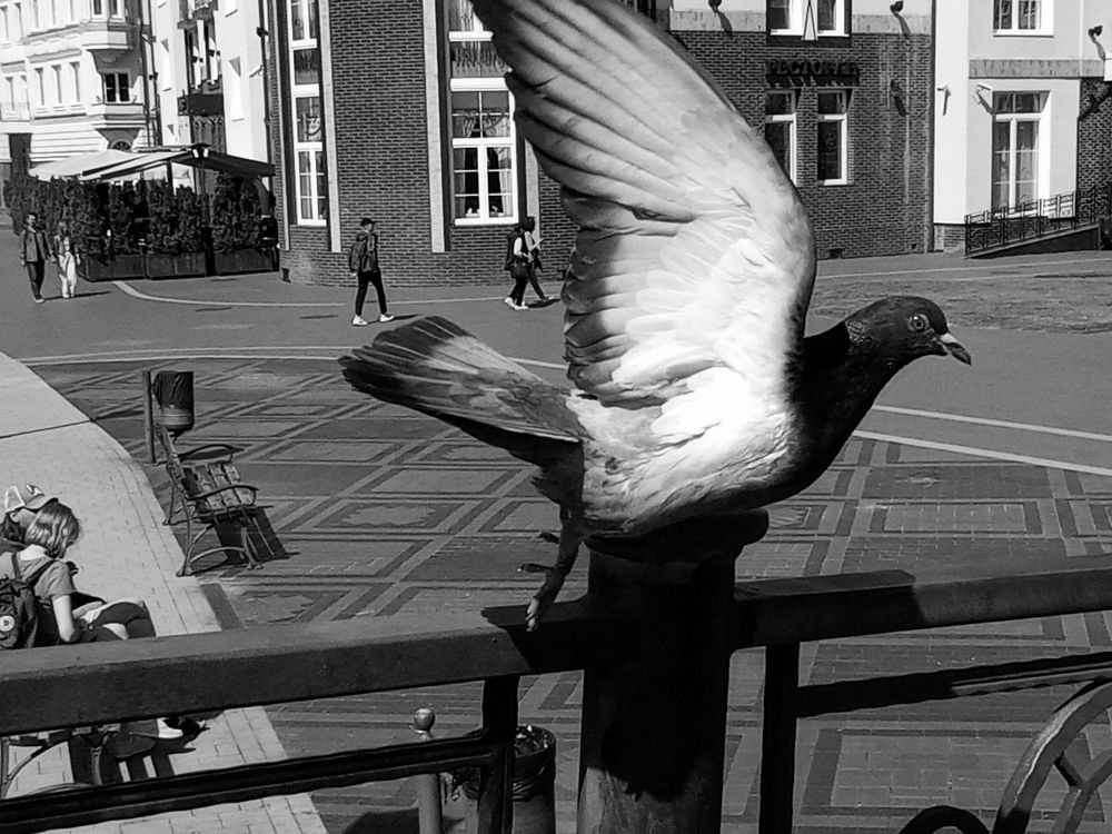 Photograph by Лилия Потравнова