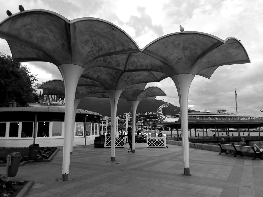 Photograph by Лилия Потравнова