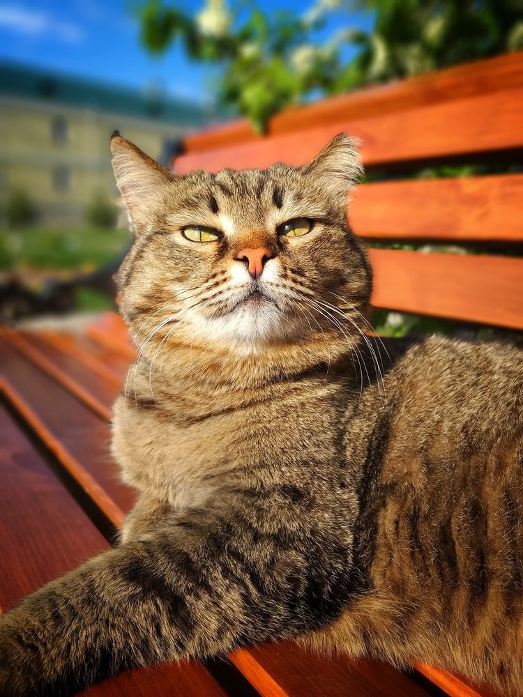 Самый важный