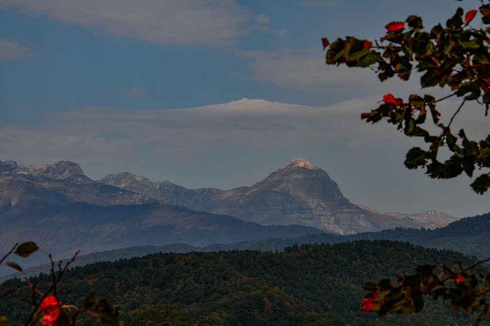 Photograph by Олег Корешонков