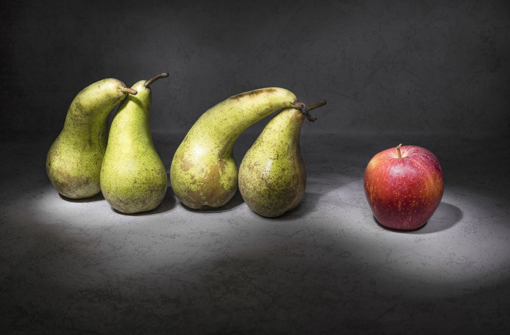 Photograph by Galina Livernette