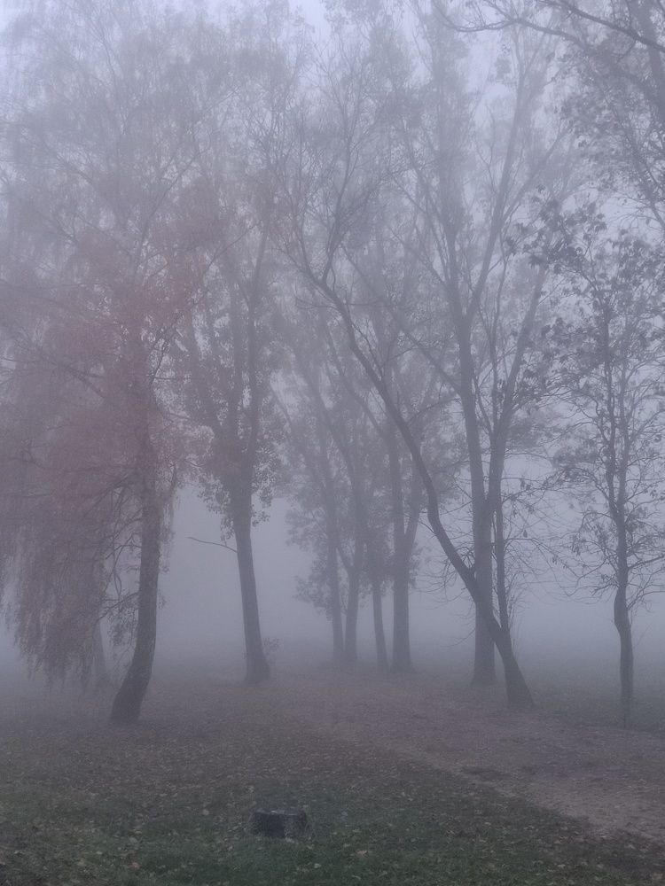 Photograph by Ольга Галушкина