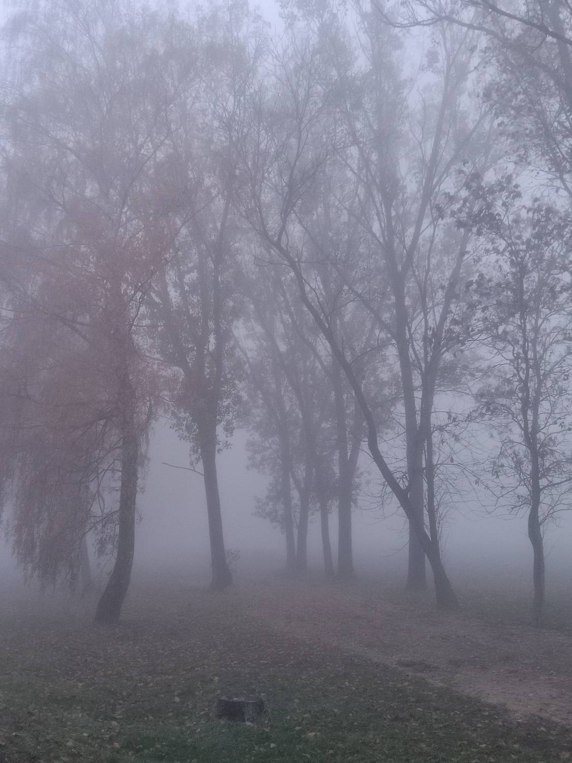 Photo #8874493