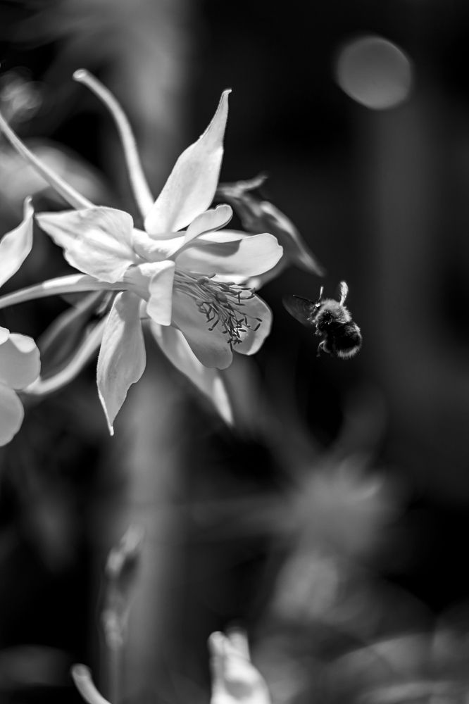 Photograph by Крючкова Ольга