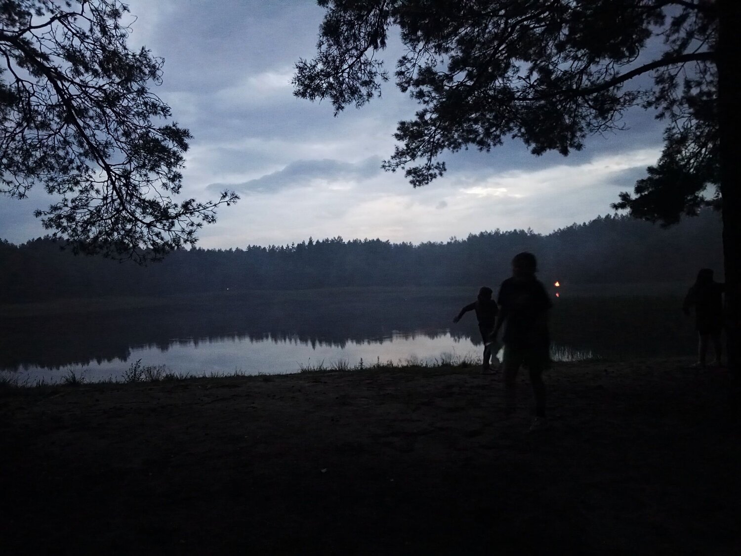Photo #8874532