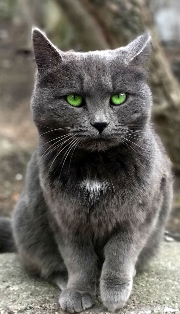 Photograph by Юрий Кизин