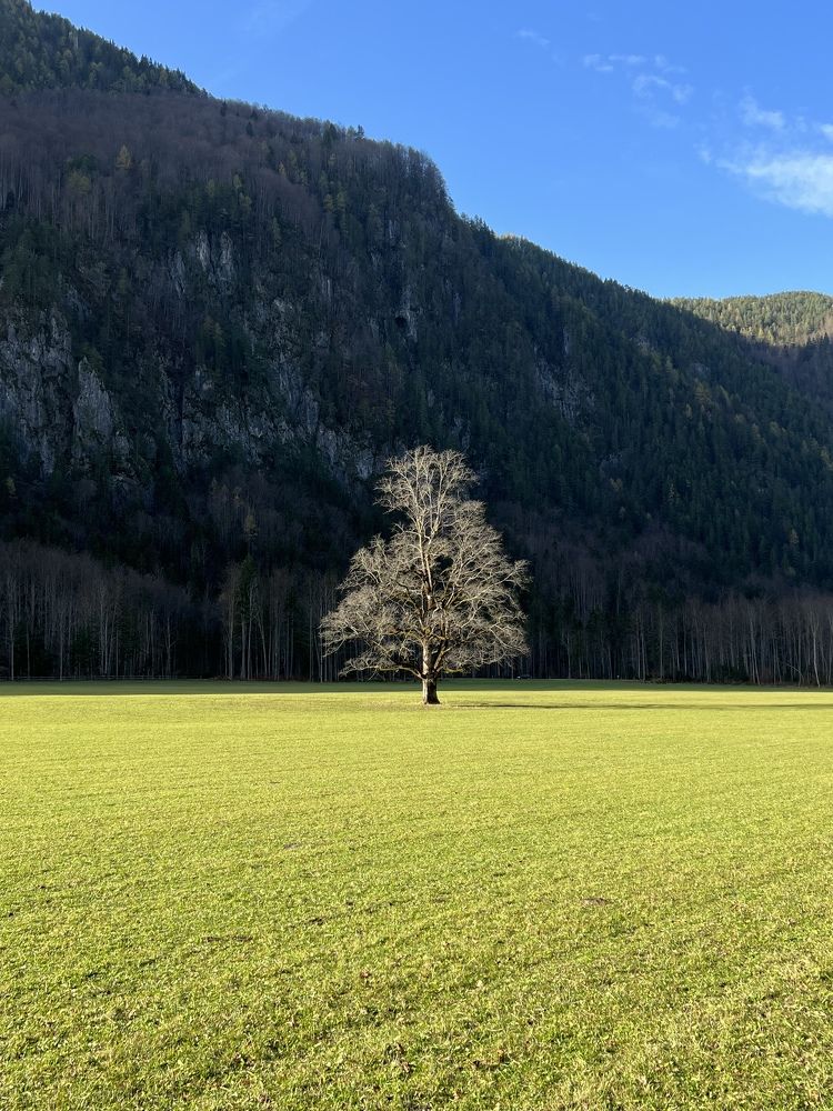 Photograph by Эльвира