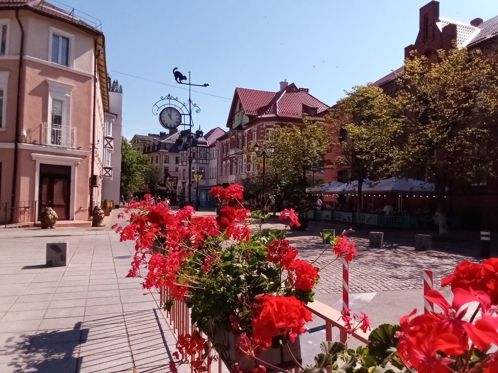 Photograph by Лилия Потравнова