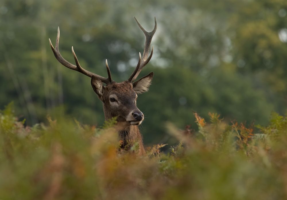 Фотография автора MARIA KULA