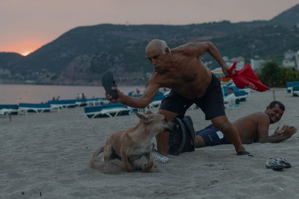 Photograph by Артем Гатин