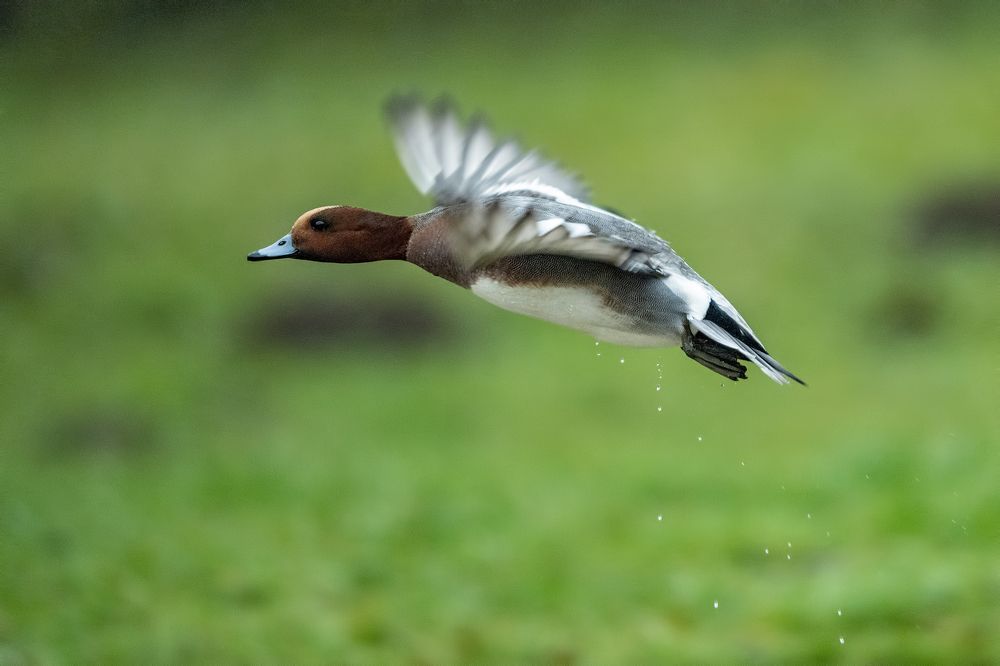 Photograph by Gatis Vilbrants