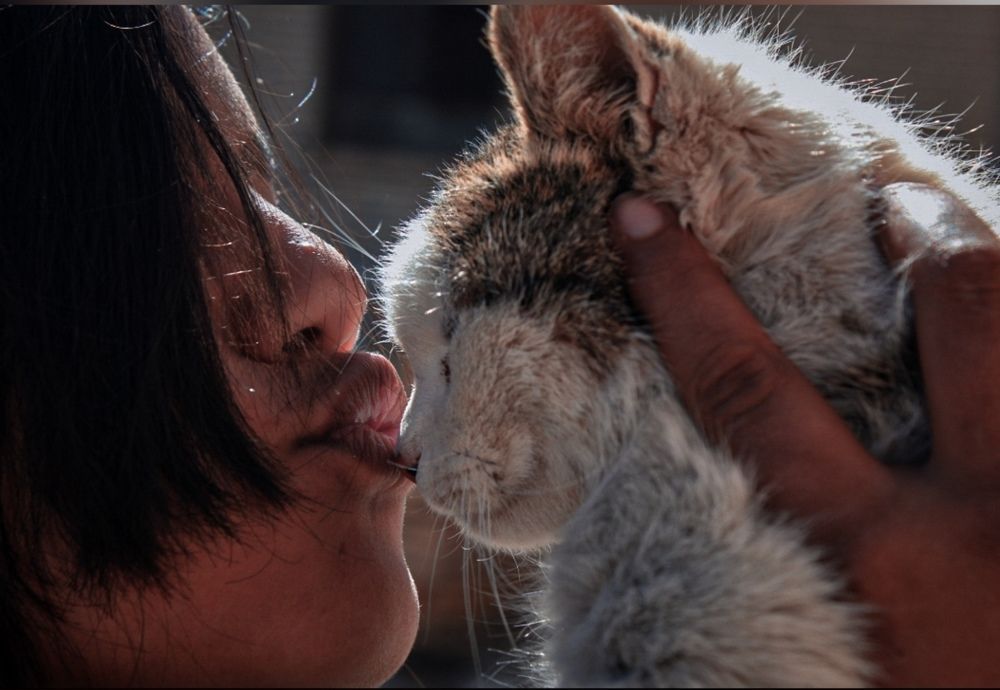 Фотография автора bahar td