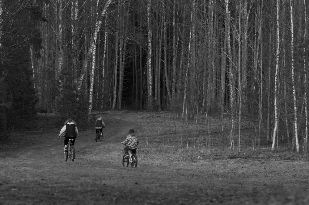 Photograph by Людмила Щепилова