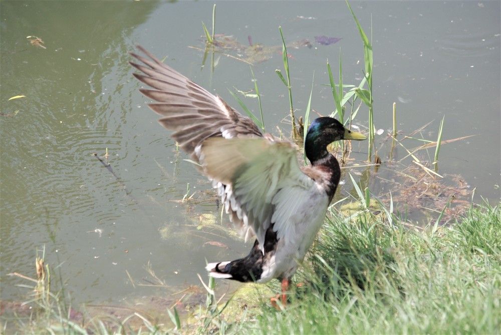 Photograph by Лилия Потравнова