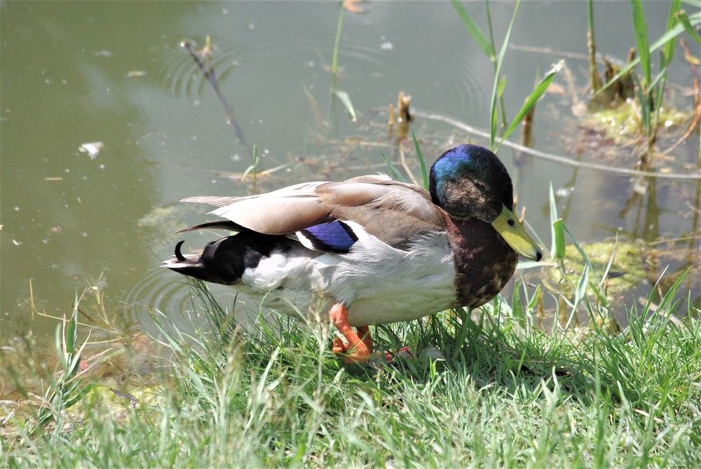 Photograph by Лилия Потравнова