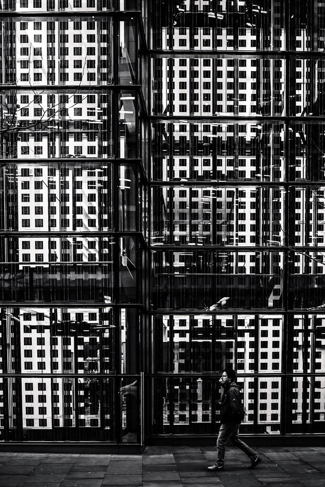 Photograph by Katherine Strauss