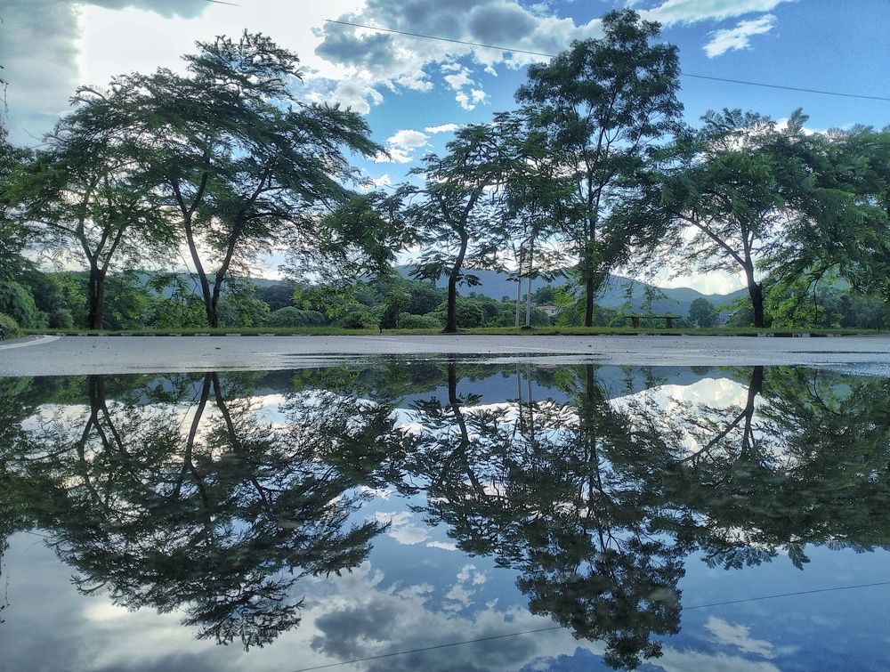 Фотография автора Ashutosh Pal