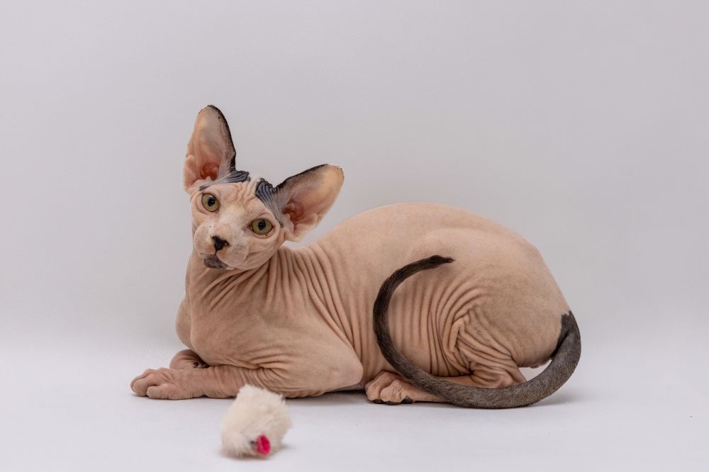 Photograph by Вероника Хведук