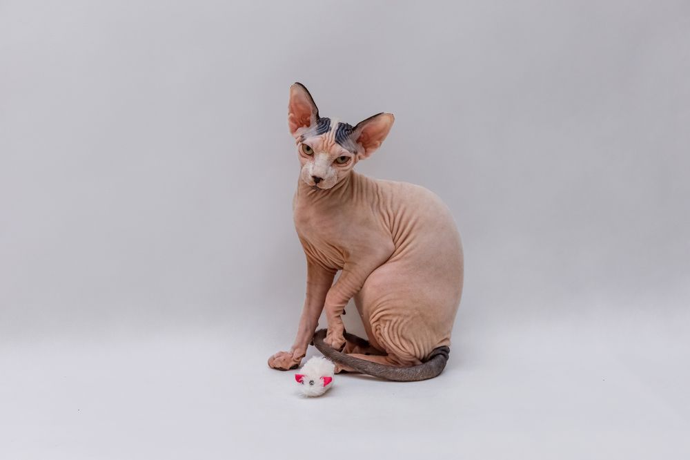 Photograph by Вероника Хведук